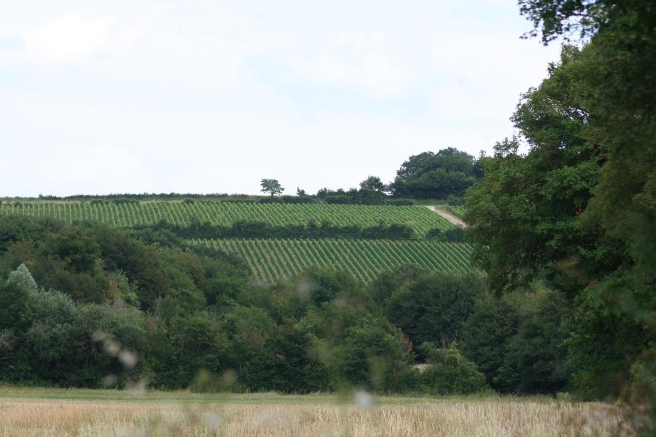 Chalet Aux Pied Des Vignes Montigny  Kültér fotó